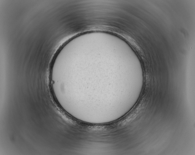 X0000112400846200909110927