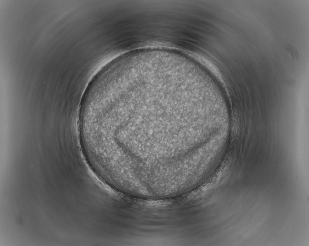 X0000112400847200909110927