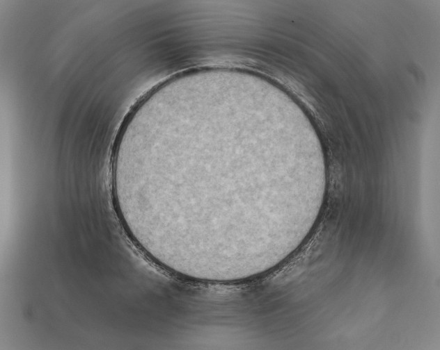X0000112400848200909110927