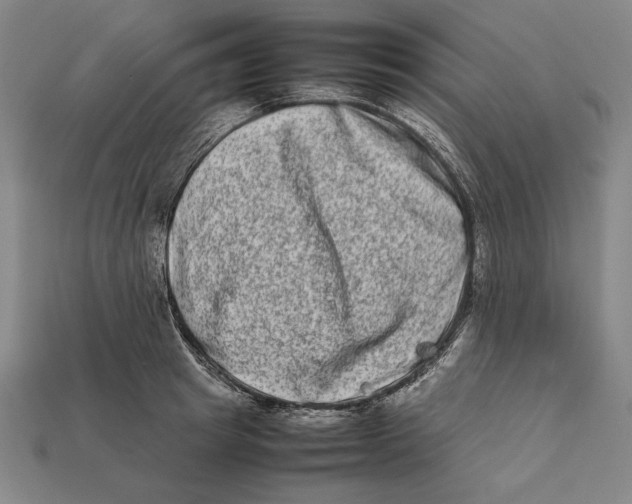 X0000112400849200909110927
