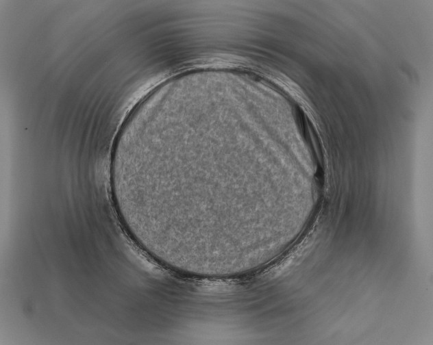 X0000112400850200909110927