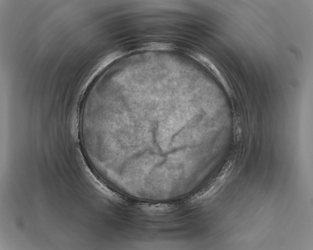 X0000112400851200909110927