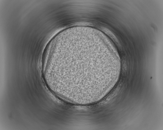 X0000112400852200909110927
