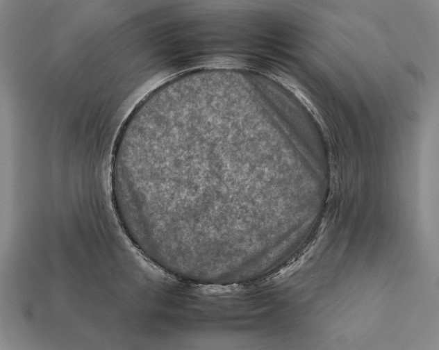X0000112400853200909110927