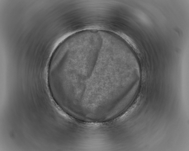 X0000112400854200909110927