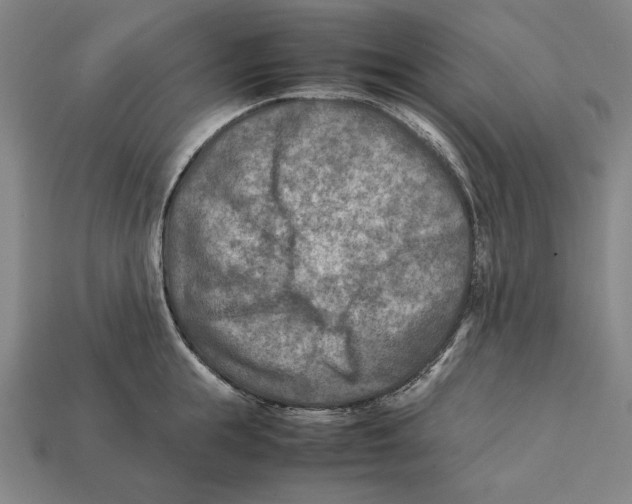 X0000112400855200909110927