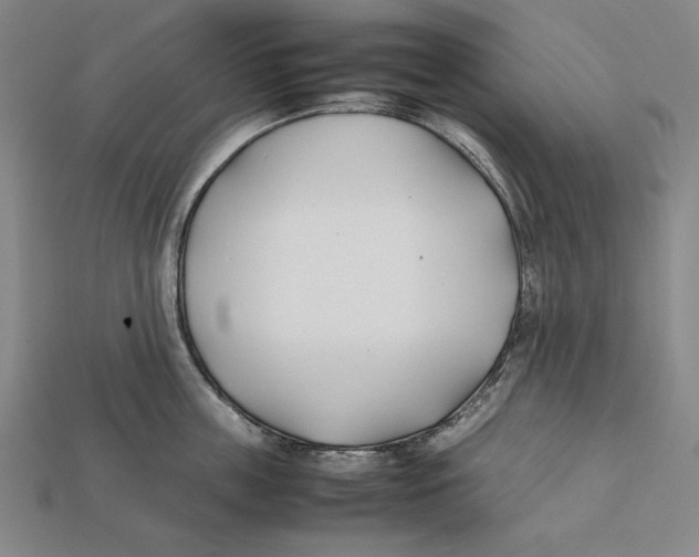 X0000112400859200909110927