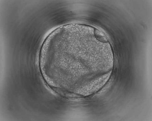 X0000112400862200909110927