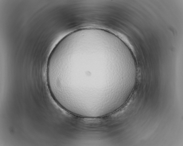 X0000112400863200909110927