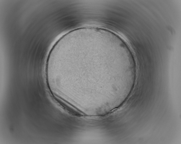 X0000112400864200909110927