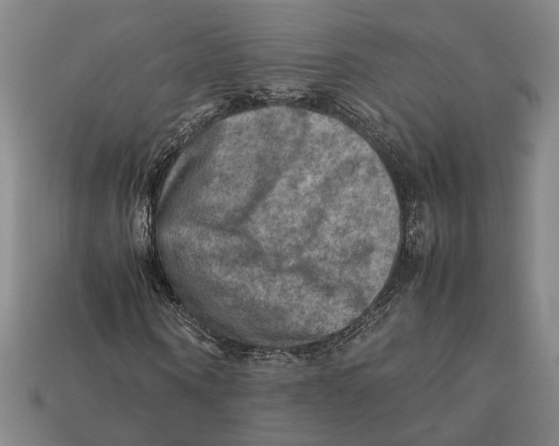 X0000112400866200909110927