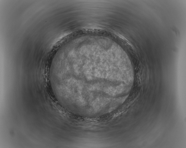 X0000112400870200909110927