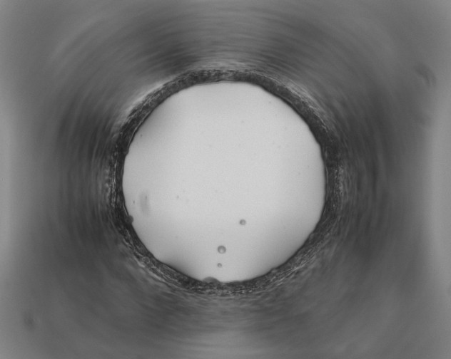 X0000112400872200909110927