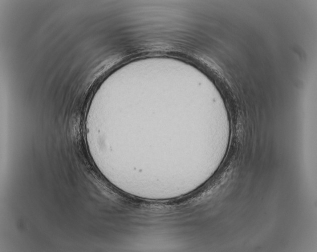 X0000112400873200909110927