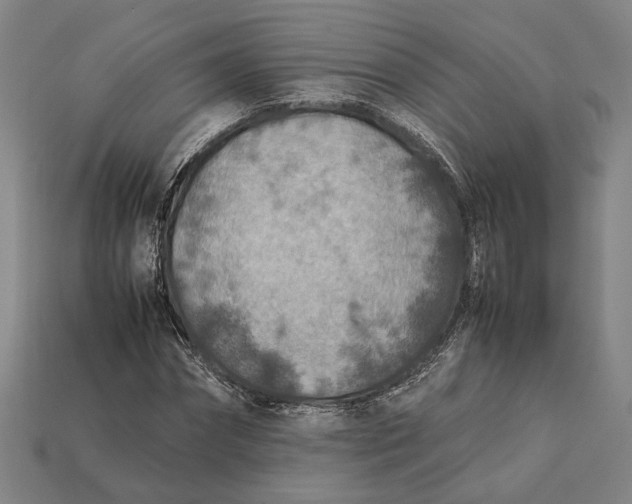 X0000112400874200909110927