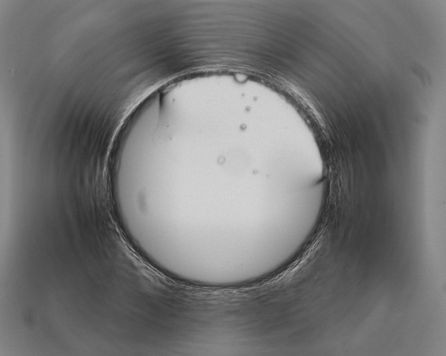 X0000112400876200909110927