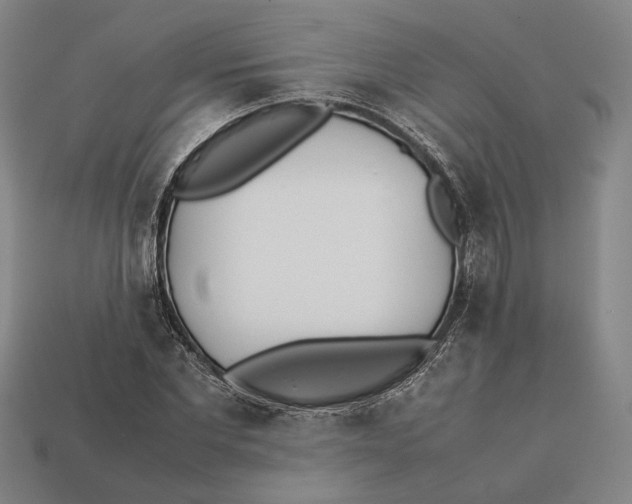 X0000112400877200909110927