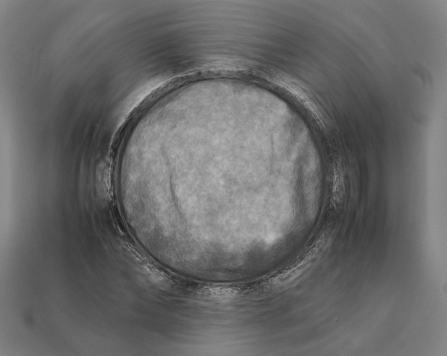 X0000112400878200909110927