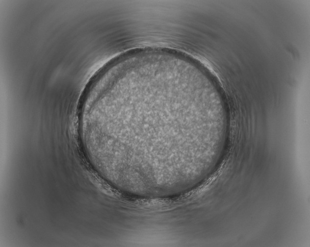 X0000112400879200909110927