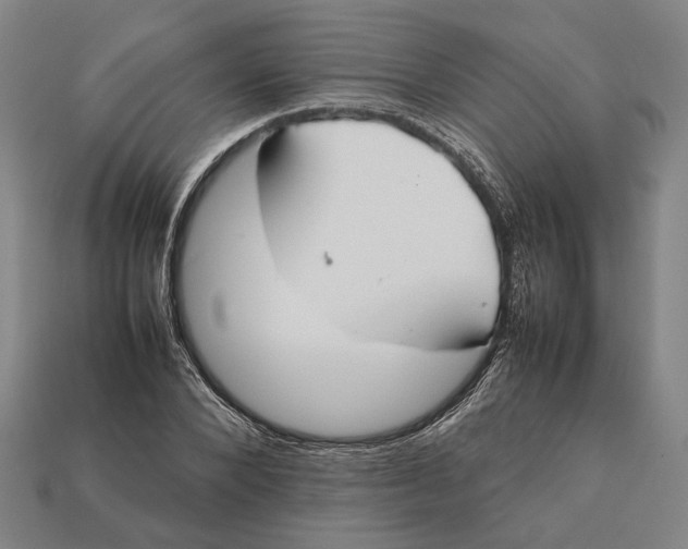 X0000112400880200909110927