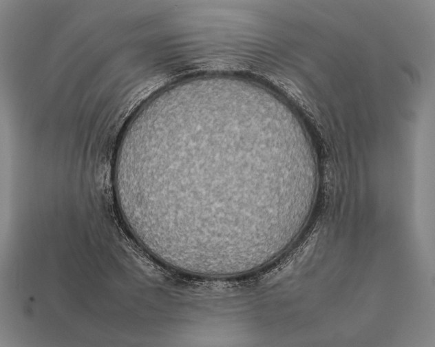X0000112400881200909110927