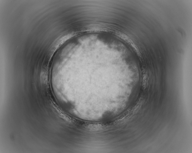 X0000112400882200909110927
