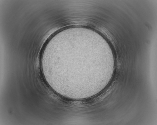 X0000112400883200909110927