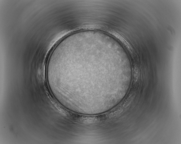 X0000112400886200909110927