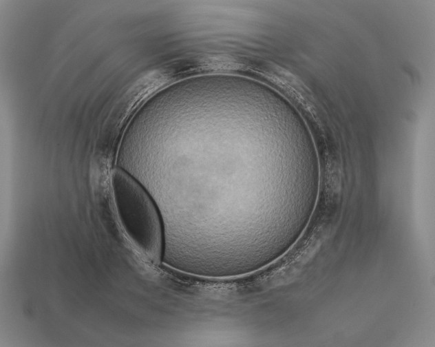 X0000112400889200909110927