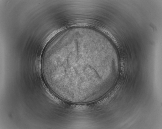 X0000112400890200909110927