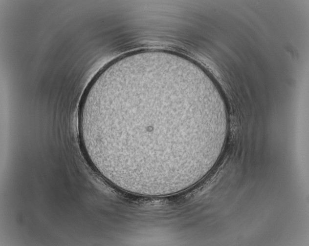 X0000112400891200909110926