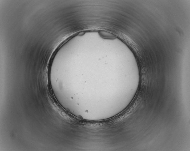 X0000112400892200909110926