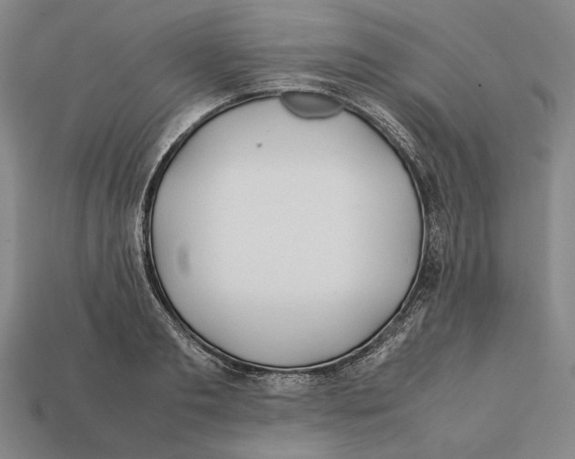 X0000112400893200909110926