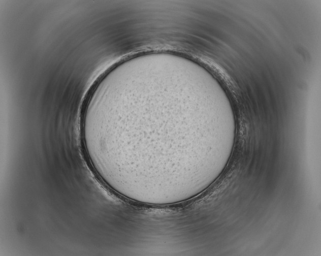 X0000112400894200909110926