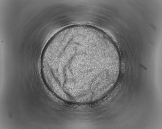 X0000112400895200909110926