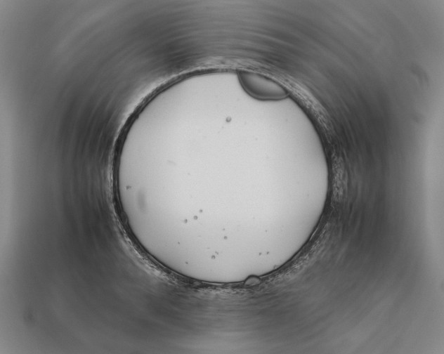 X0000112400896200909110926