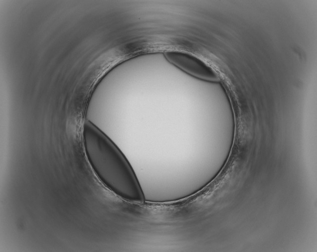 X0000112400897200909110926