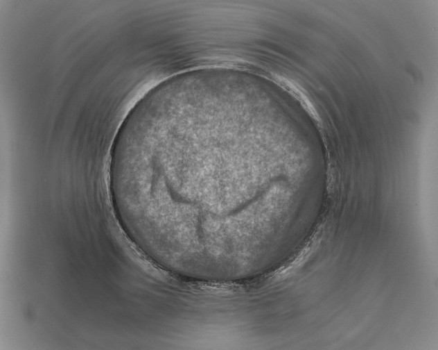 X0000112400899200909110926