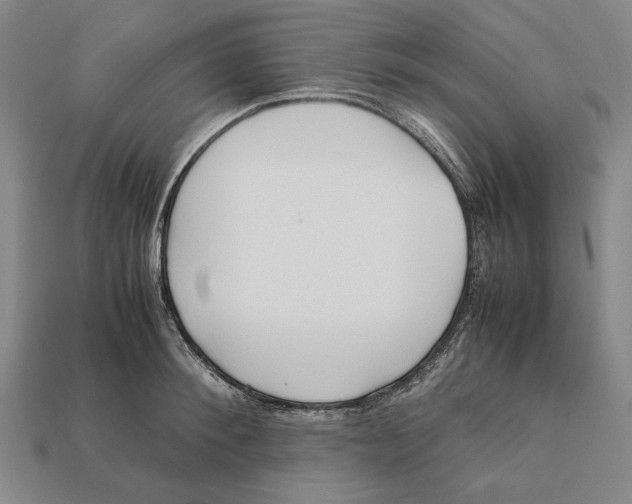 X0000112400900200909110926