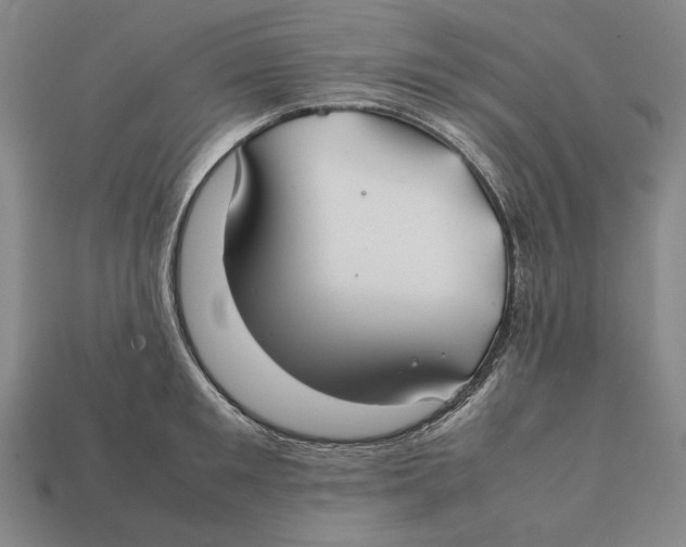 X0000112400901200909110926