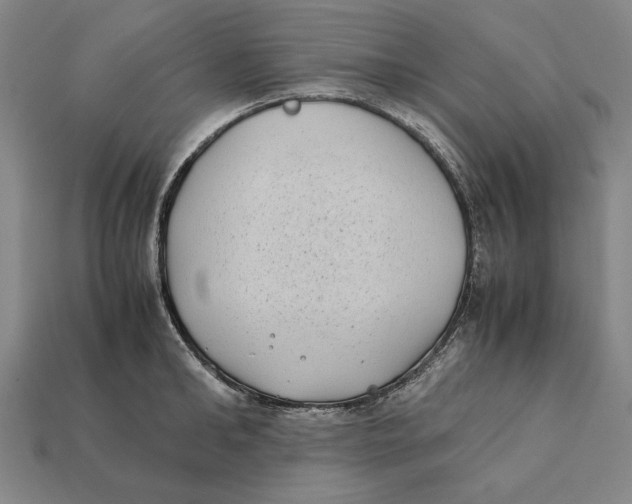 X0000112400902200909110926