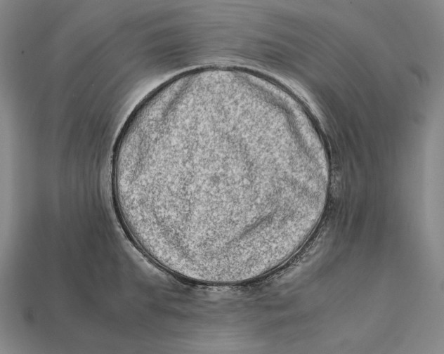 X0000112400903200909110926