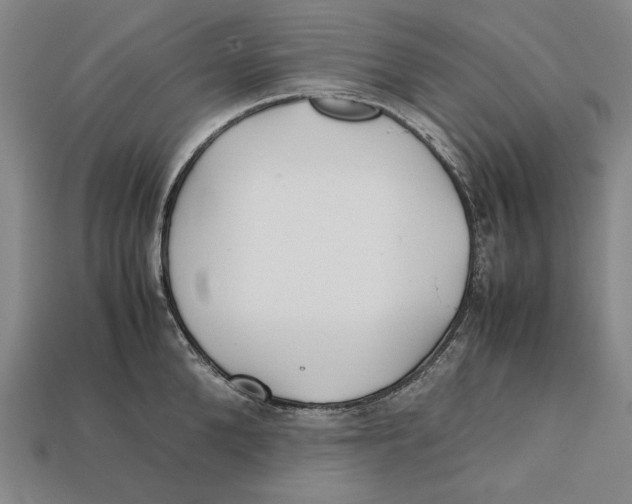 X0000112400904200909110926