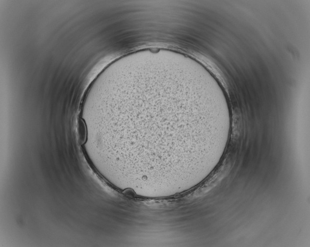 X0000112400906200909110926