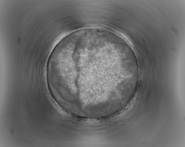 X0000112400907200909110926