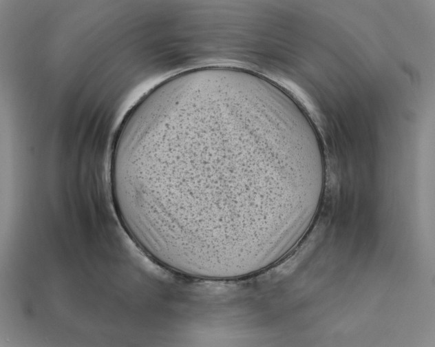 X0000112400910200909110926
