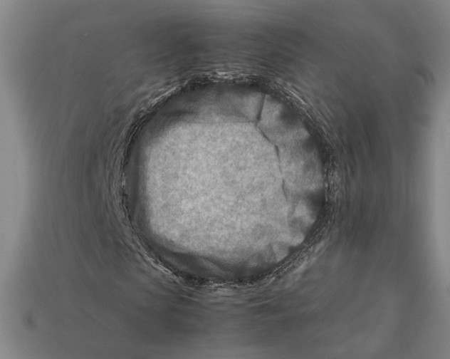 X0000112400913200909110925