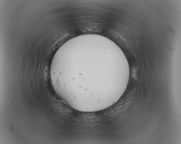 X0000112400915200909110925
