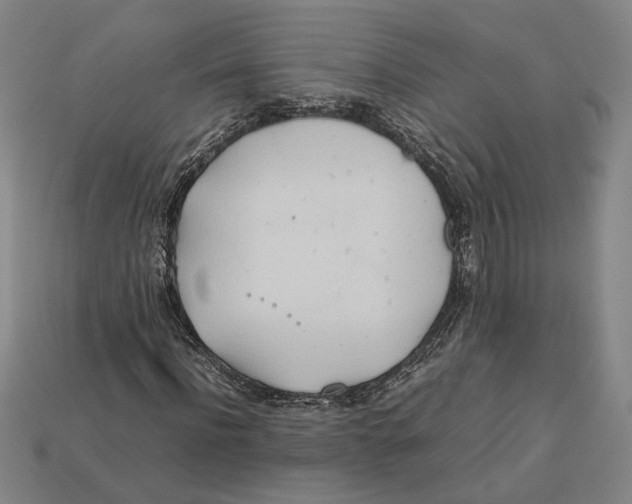 X0000112400916200909110925