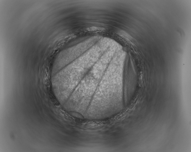 X0000112400917200909110925